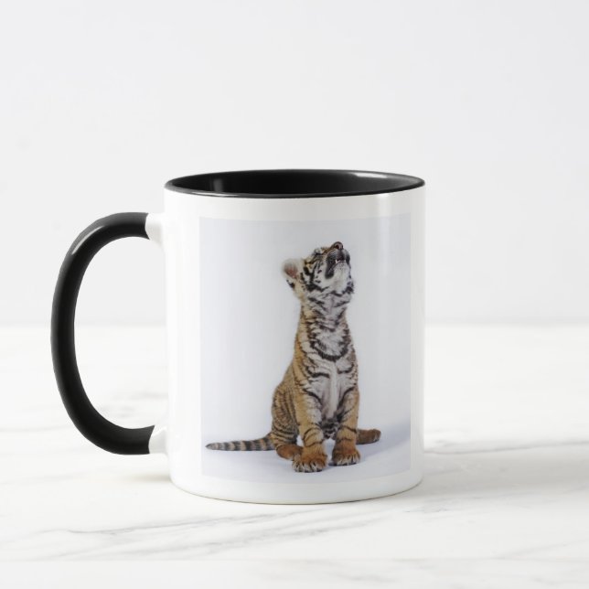 Taza Cautivo, Suráfrica 2 (Izquierda)