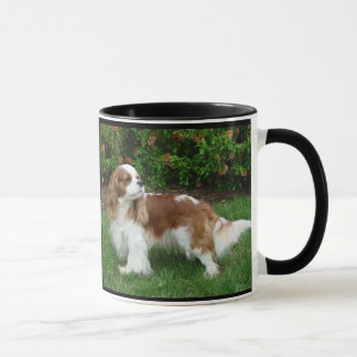 Taza Cavalier King Charles Spaniel