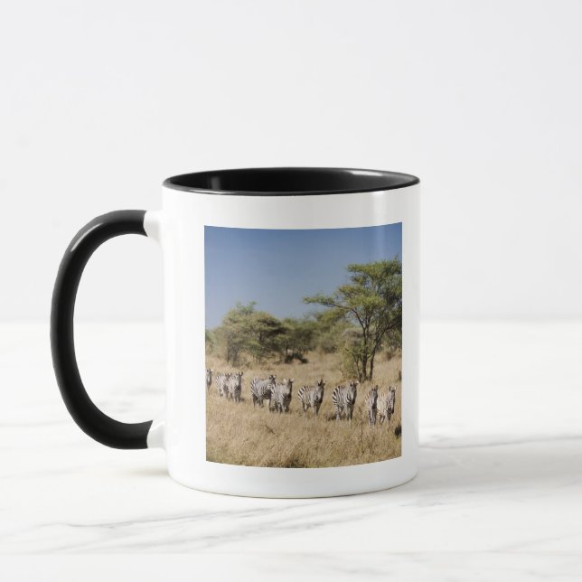 Taza Cebra de la migración, Tanzania (Izquierda)