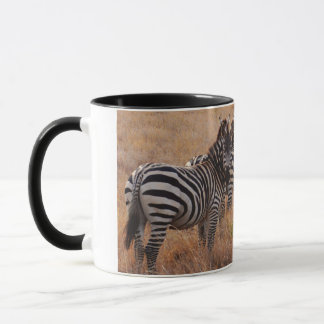 Taza Cebra en Kenia