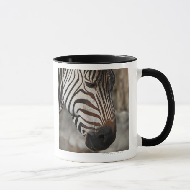 Taza Cebra, primer (Derecha)