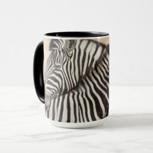 Taza Cebras de Burchell haciendo necking