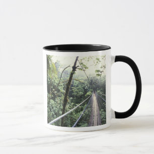Taza Centroamérica, Costa Rica, Monteverde Nube