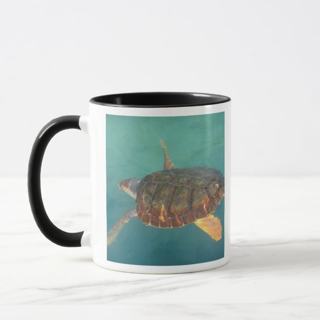 Taza Centroamérica, Panamá, Bocas Del Torro (Izquierda)