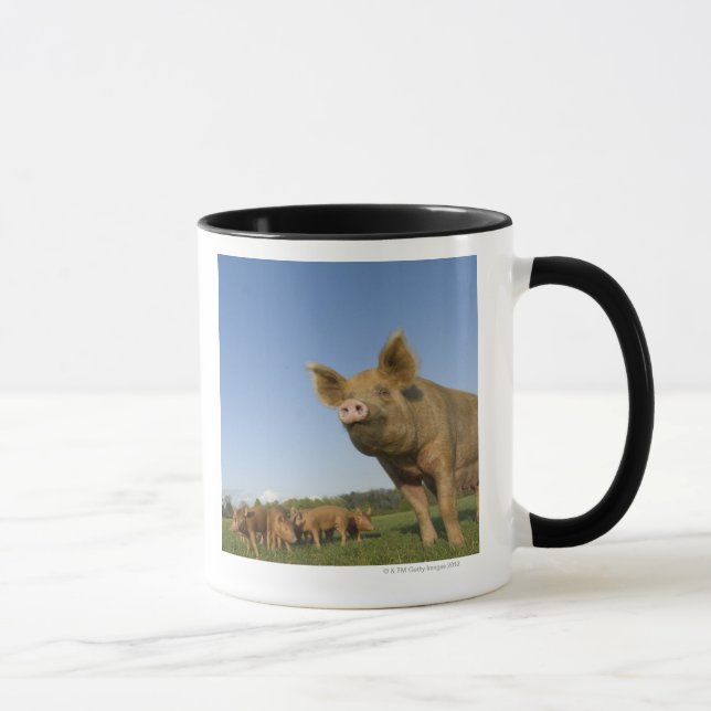 Taza Cerdo en un campo (Derecha)
