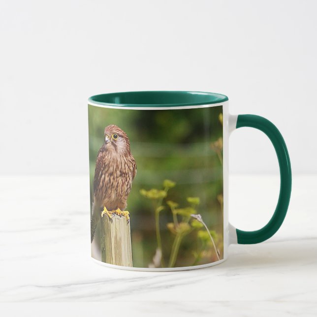 Taza Cernícalo (Derecha)