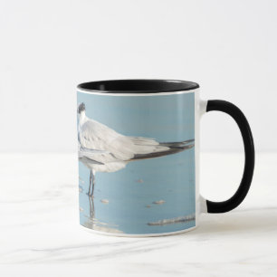 Taza Charrán Real en la playa