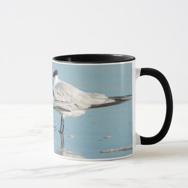 Taza Charrán Real en la playa (Derecha)