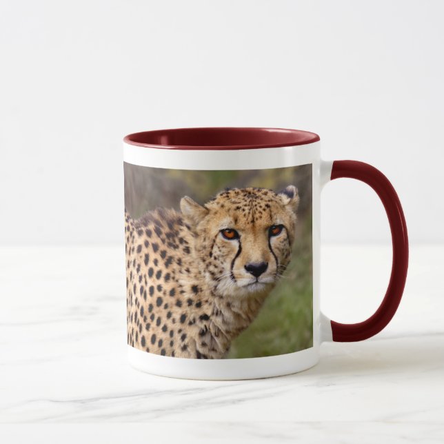 Taza Cheetah Mug (Derecha)