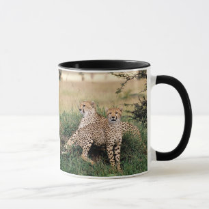 Taza Cheetah Pair