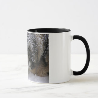 Taza Chica de Willie