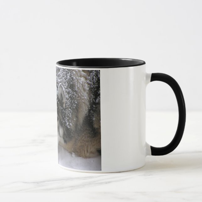 Taza Chica de Willie (Derecha)
