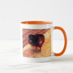 Taza Chick recién nacido (2)