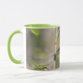 Taza Chickadee capsulado negro en una rama