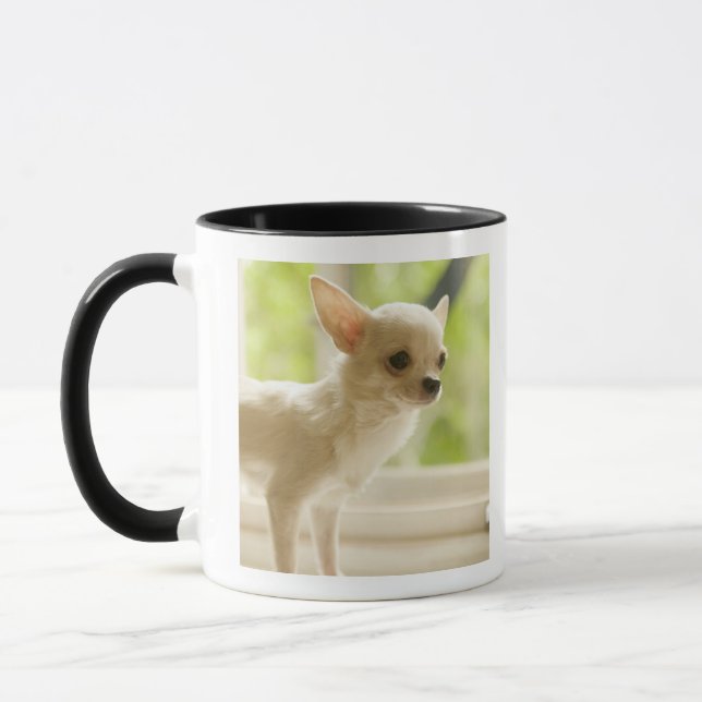 Taza Chihuahua (Izquierda)
