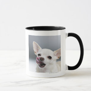 Taza Chihuahua blanca que lame los labios