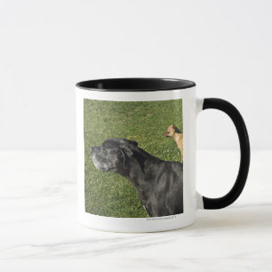 Taza Chihuahua en la parte posterior 2 de great dane
