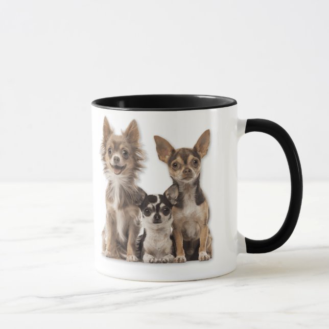 Taza Chihuahua Puppies (Derecha)