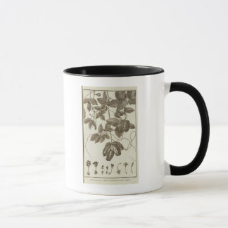 Taza Chile 6