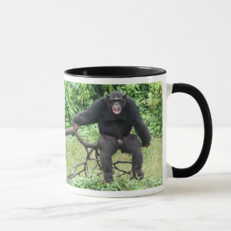Taza Chimpancé en África