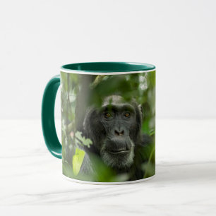 Taza Chimpancé escondido entre la vegetación
