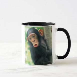 Taza Chimpancé joven (trogloditas de la cacerola)
