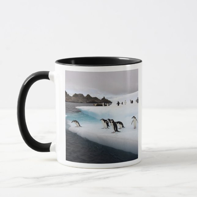 Taza Chinstrap Penguins (Izquierda)