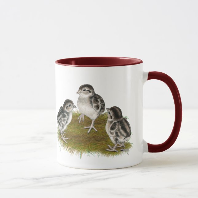 Taza Chukar Partridge Chicks (Derecha)