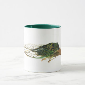 Taza Cicada de Linne (Neotibick linnei)