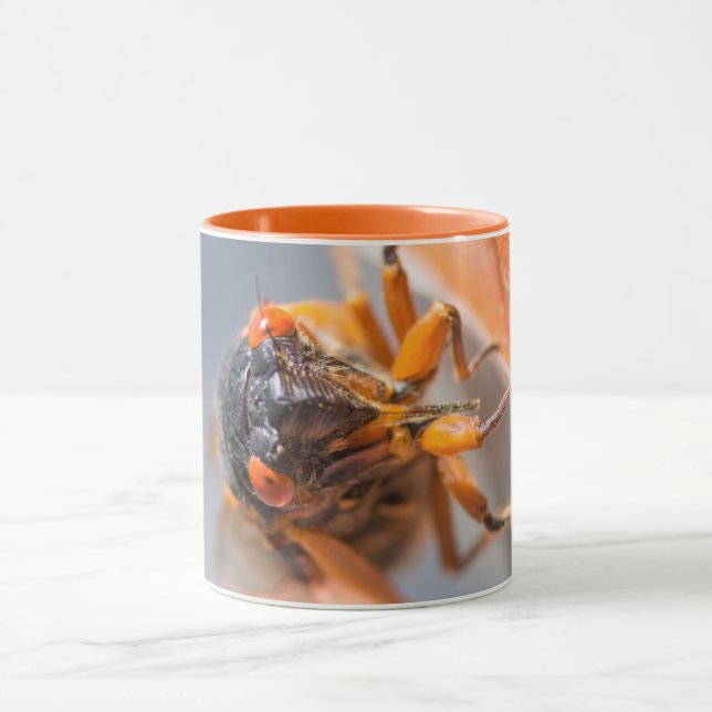 Taza Cicada Manía Magicicada Naranja Mug (Centro)