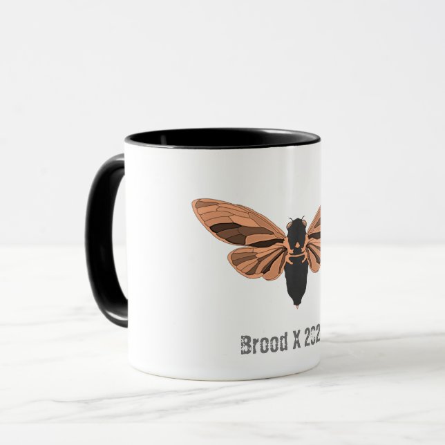 Taza Cicata (Anverso izquierdo)