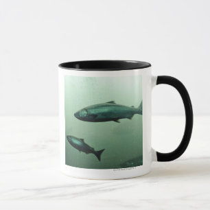 Taza Ciérrese encima de tiro del funcionamiento de