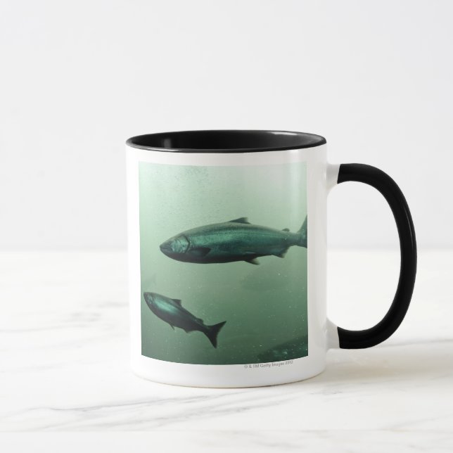 Taza Ciérrese encima de tiro del funcionamiento de (Derecha)