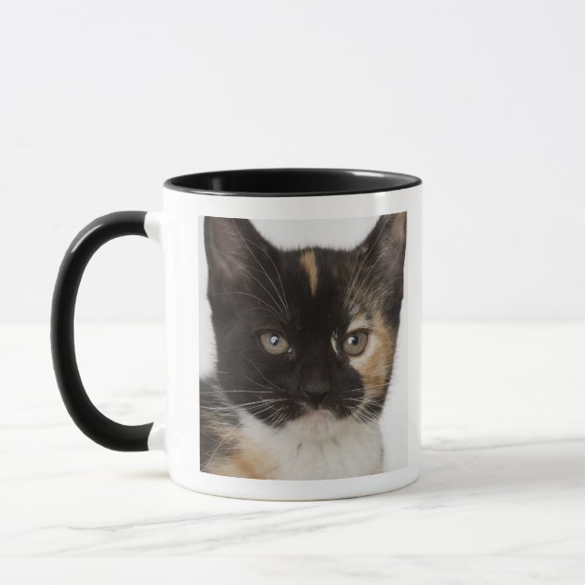 Taza Ciérrese para arriba de gatito (Izquierda)