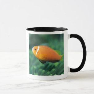 Taza Ciérrese para arriba de los pescados de anémona
