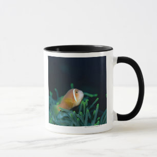 Taza Ciérrese para arriba de los pescados de anémona