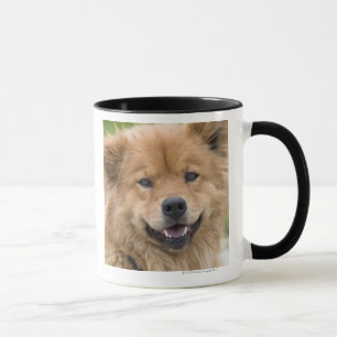 Taza Ciérrese para arriba de perro de la mezcla del