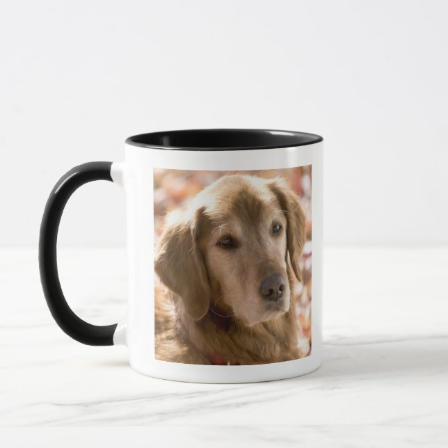 Taza Ciérrese para arriba de perro de oro del labrador (Izquierda)