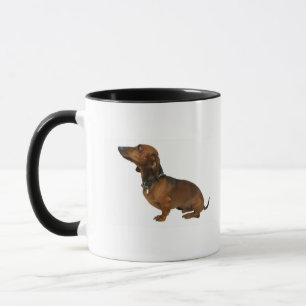 Taza Ciérrese para arriba de un dachshund