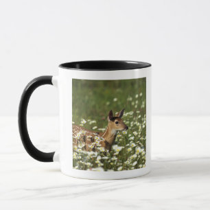 Taza ciervos Blanco-atados en el campo de flores,