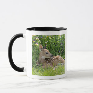 Taza ciervos Blanco-atados (virginianus del Odocoileus)