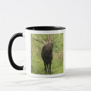 Taza Ciervos de Ezo