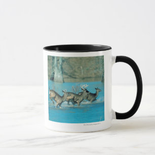 Taza Ciervos que corren en agua