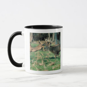 Taza Ciervos que corren en bosque