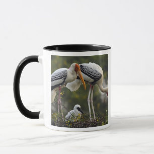 Taza Cigüeñas pintadas y cría en el nido,Keoladeo