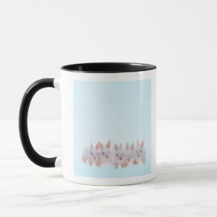 Taza Cinco conejos