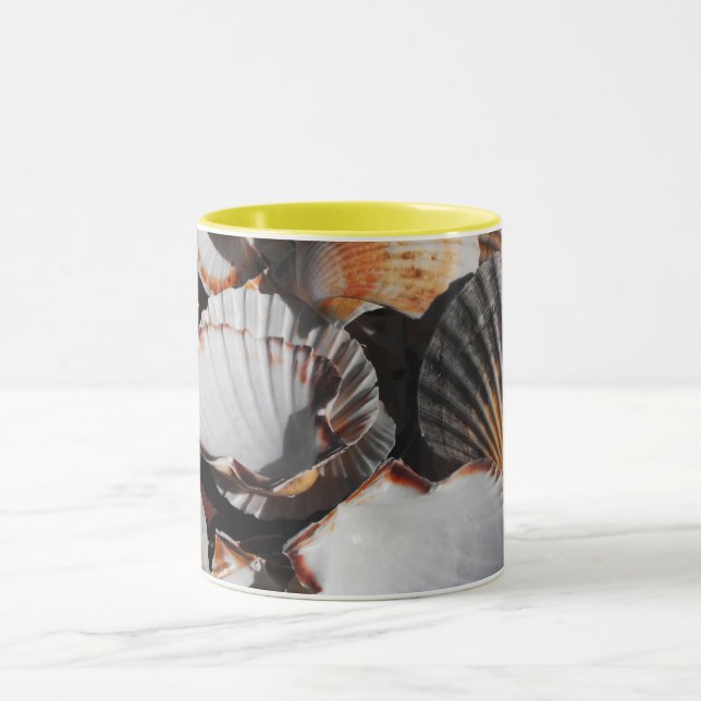 Taza Cintas de vieira (Centro)
