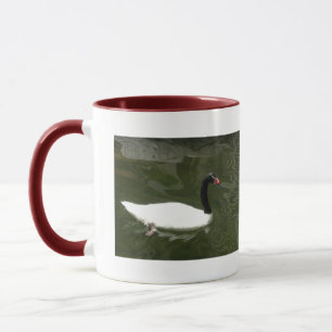 Taza Cisne blanco y negro