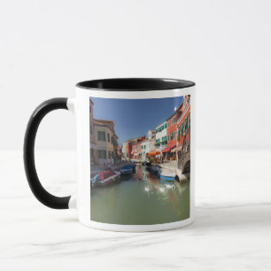 Taza Cisnes en canal, Isla de Burano, Venecia, Italia