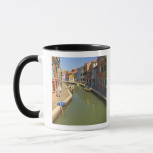 Taza Cisnes en canal, Isla de Burano, Venecia, Italia